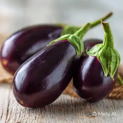 Aubergine