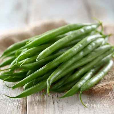 Haricot Vert