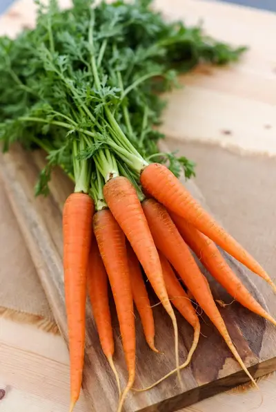Carottes