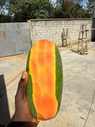 Papaye