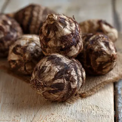 Taro